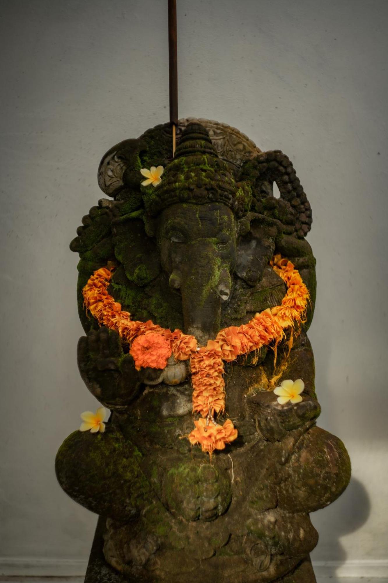 Tattva Ubud Retreat & Wellness Exterior photo