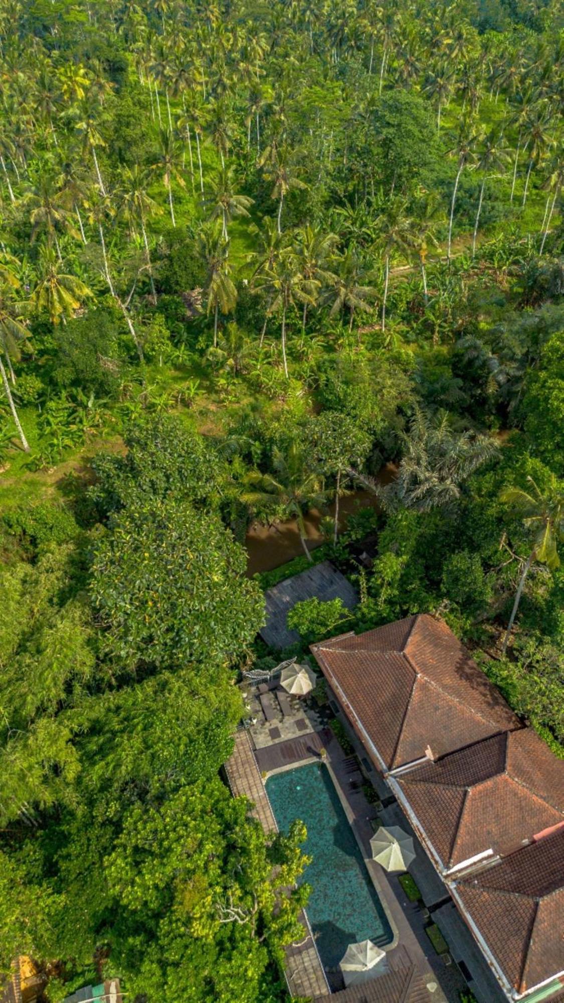 Tattva Ubud Retreat & Wellness Exterior photo